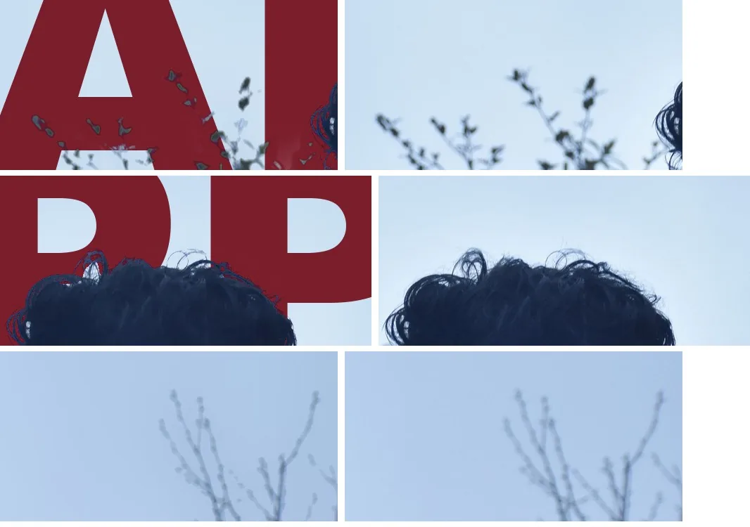 Three pairs of close-ups (leaves, the top of the hair and bare branches), each composited over a test title beside the same crop of the original photo.